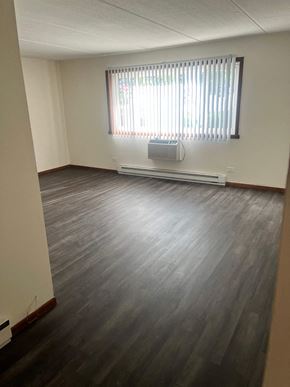 Lisle apartment for rent - A room with a window and a radiator on the wall.