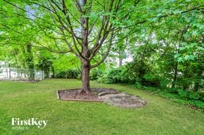 Winston Salem house for rent - a large tree in the middle of a grassy yard