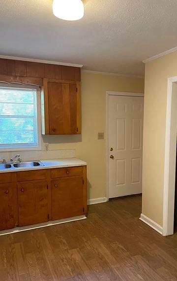Forsyth apartment for rent - A kitchen with wooden cabinets and a white door.