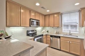 San Jose house for rent - 1310 Saddle Rack Street #449