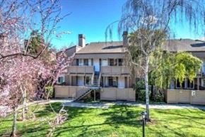 San Jose house for rent - a large house with a lawn and trees in front of it