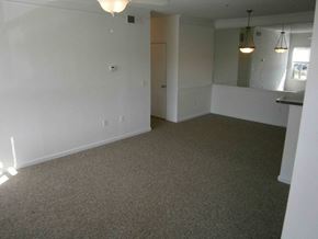 Bradenton house for rent - an empty living room with white walls and carpet