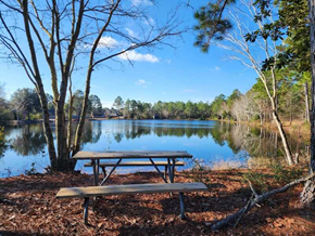 Pensacola house for rent - A picnic table sits in front of a lake with trees in the background.