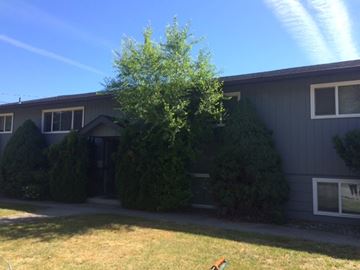 Hayden house for rent - a house with a tree in front of it