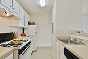 Ashburn apartment for rent - a kitchen with white cabinets and a stove and a sink