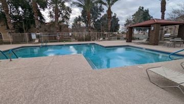 Mesa house for rent - A pool surrounded by a concrete patio and palm trees.