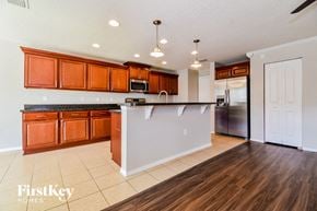 Clermont house for rent - 13509 LARANJA STREET CLERMONT, FL 34711