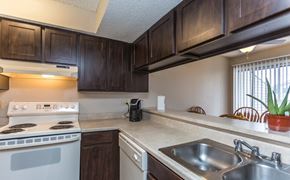 Denver apartment for rent - a kitchen with a sink and a stove top oven
