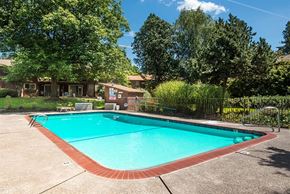 Portland apartment for rent - a swimming pool in a backyard with trees