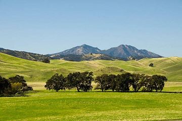 Antioch apartment for rent - A green field with trees and mountains in the background.