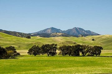 Larkspur apartment for rent - A landscape with green grass and trees in the foreground and mountains in the background.