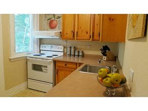 Hamilton apartment for rent - a kitchen with a sink and a stove and a window