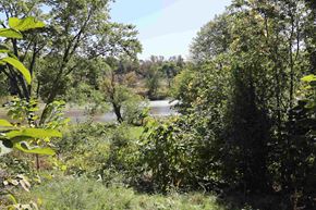 Lake Station house for rent - a view of the river through the trees