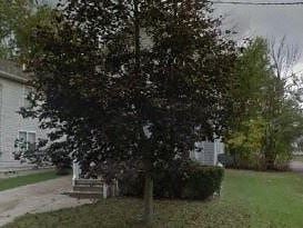 Warren house for rent - A tree in front of a house.