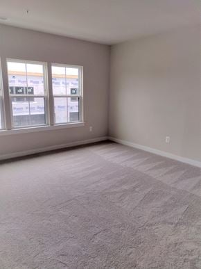 Laurel house for rent - an empty living room with carpet and two windows
