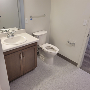 Ontario apartment for rent - Unit Bathroom