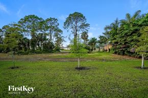 Cape Coral house for rent - a small tree in the middle of a grass field
