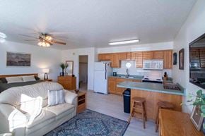 Farmington apartment for rent - a living room and kitchen with a couch