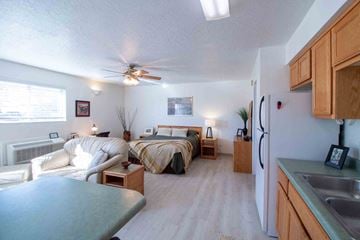 Farmington apartment for rent - a bedroom with a couch and a bed in a living room