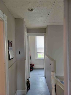 Stellarton apartment for rent - A cat is walking down a hallway.