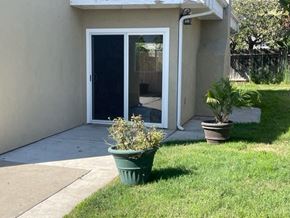 Santa Maria house for rent - A green potted plant sits on a concrete walkway in front of a house.