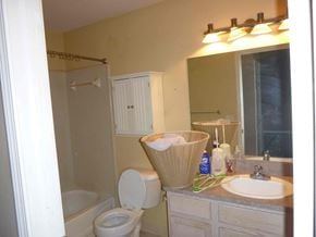 Clinton Township house for rent - A bathroom with a toilet, sink, and mirror.