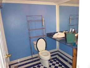 Clinton Township house for rent - A blue bathroom with a toilet and a bed.