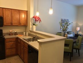 Baltimore apartment for rent - a kitchen with a sink and a counter and a living room