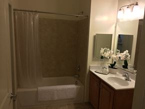 Baltimore apartment for rent - a bathroom with a shower and a sink and a mirror
