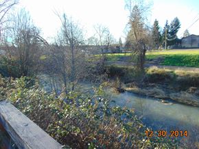 Eagle Point apartment for rent - A river flows through a grassy area with trees and bushes.