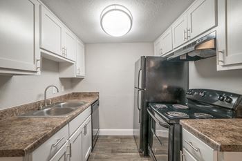 Newly renovated apartments