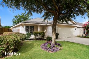 San Antonio house for rent - a tree in the front yard of a white house