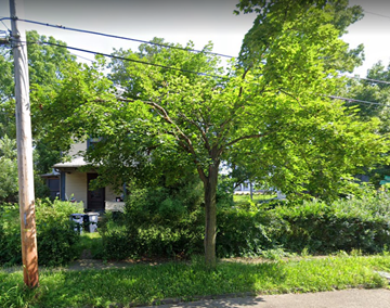Akron house for rent - 311 Crestwood Ave