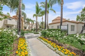 Santa Clarita apartment for rent - a sidewalk with palm trees and flowers in front of a building