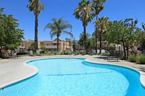 Santa Clarita apartment for rent - a large swimming pool with palm trees and buildings in the background