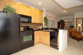 Los Angeles apartment for rent - a kitchen with black appliances and a black refrigerator