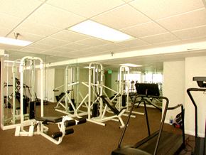 Los Angeles apartment for rent - a gym full of equipment in the basement of a building