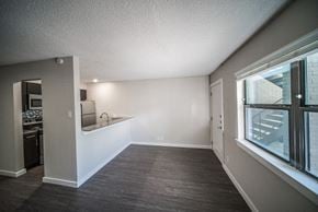 Austin apartment for rent - at Mesh, Texas, 78741