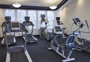 Madison Heights apartment for rent - A gym with treadmills, elliptical machines, and stationary bikes.