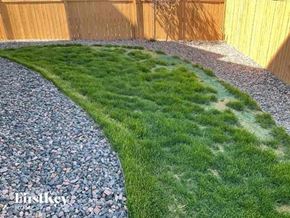 Commerce City house for rent - a yard with grass and gravel and a wooden fence