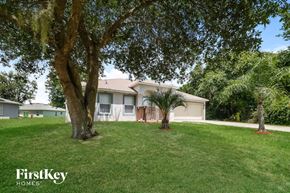 Poinciana house for rent - A tree stands in a grassy yard in front of a house.