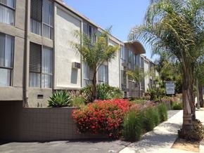 Los Angeles apartment for rent - an apartment building with palm trees and flowers in front of it