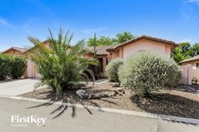 Tucson house for rent - A house with a palm tree in front of it.