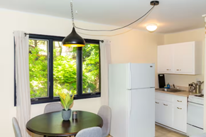 Greenwood Lake apartment for rent - a kitchen with a green table and a white refrigerator