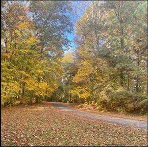 Dawsonville apartment for rent - a road in the fall with leaves on the ground and trees
