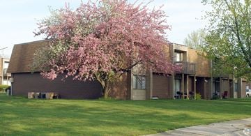 Hobart apartment for rent - a tree in front of a brick apartment building