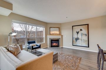 St. Paul apartment for rent - a living room with a couch and a fireplace