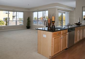 Large windows