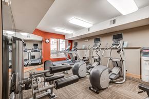 St. Paul apartment for rent - Fitness room with various equipment