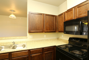 Midland apartment for rent - a kitchen with a counter top and a stove and a microwave